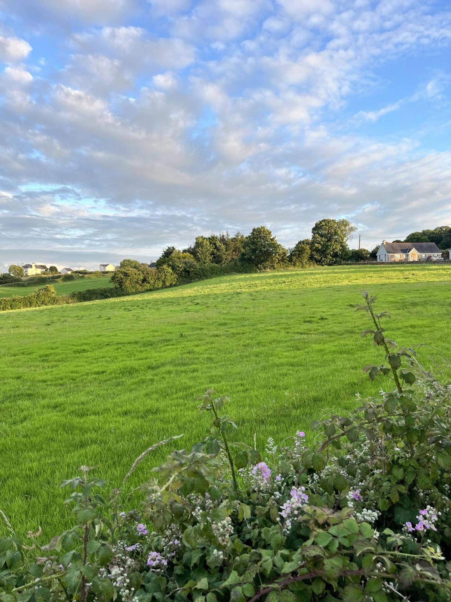 Ty Dderw Country Inn Moelfre Esterno foto